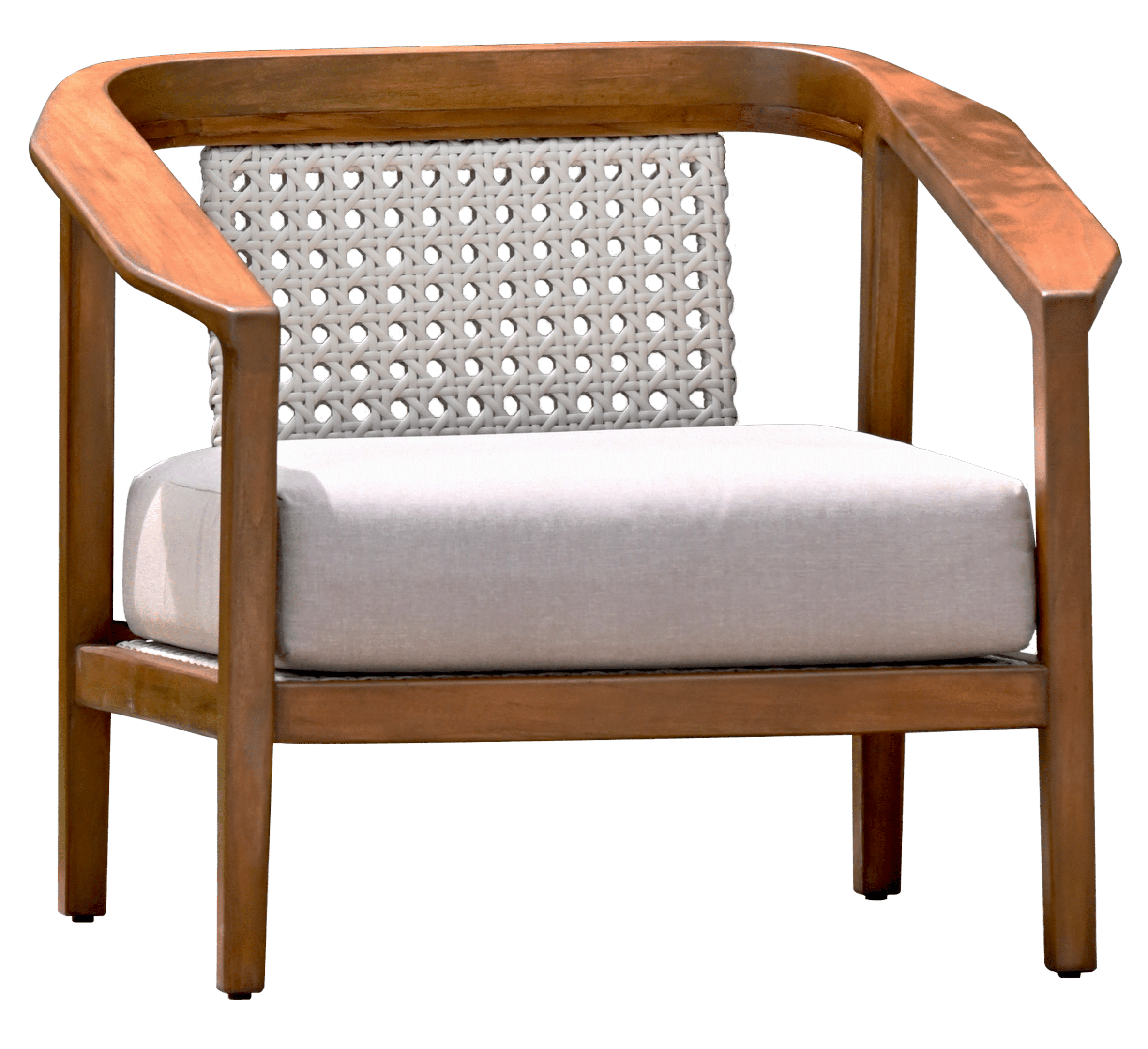 Newton Lounge chair