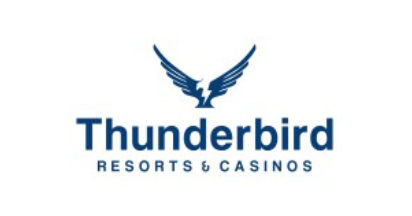 ThunderBird | Woven Furniture Designs